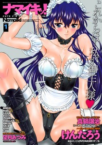 Namaiki-2013-01-212x300