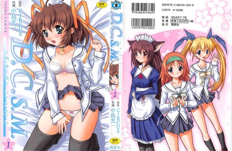 D.C.S.M.1000-461x300